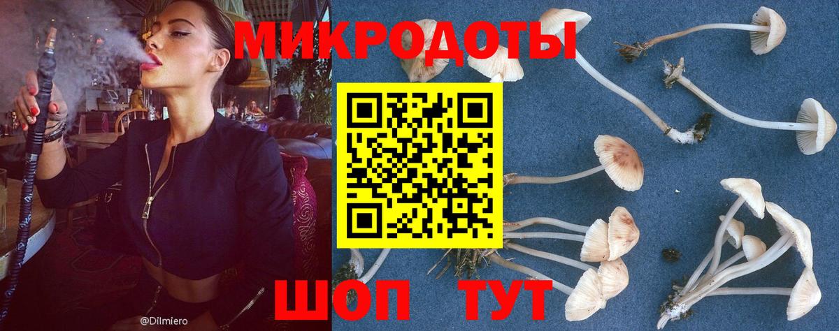 Псилоцибиновые грибы MAGIC MUSHROOMS Наро-Фоминск