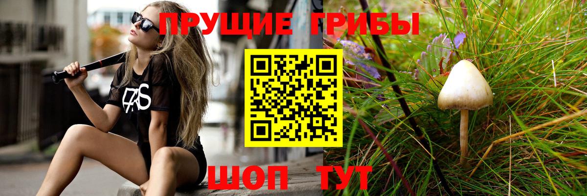Наро-Фоминск  Галлюциногенные грибы MAGIC MUSHROOMS  Вход с VPN  Псилоцибиновые грибы Magic Shrooms 